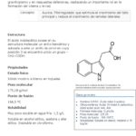 ACIDO INDOL ACETICO X 10GR