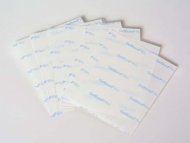 FILM PARA SECADO DE GELES (GEL DRYING FILM) X 100UND - Imagen 1