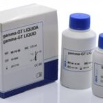 GGT LIQUIDA 1 X 125 ML (CINETICO) - GAMMA GLUTAMIL TRANSPEPTIDASA