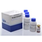 HEMOGLOBINA GLICOSILADA 100 ML (RESINA INTERCAMBIO IONICO) - QCA