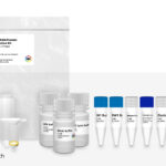 KIT DE EXTRACCION ADN DE TEJIDO 50 PREP.MINI GENOMIC DNA KIT (TISSUE)