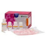 KIT DE EXTRACCION ADN INSECTO X 50T