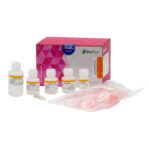 KIT DE EXTRACCION ADN SANGRE X 50T. MEGABIO PLUS WHOLE BLOOD GENOMIC DNA PURIFICATION KIT
