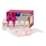 KIT DE EXTRACCION DE ADN GENOMICO X 50T.