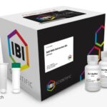 KIT DE EXTRACCION DE ADN X 100 PREP.