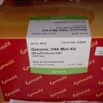 KIT DE EXTRACCION SANGRE/CELULAR. GENEMIC DNA MINI KIT BLOOD/CULTURE CELL.