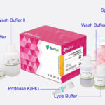 KIT DE EXTRACCION SANGRE/CELULA/TEJIDO X 100T. BIOSPIN BLOOD/CELL/TISSUE GENOMIC DNA EXTRACTION KIT