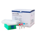 KIT EXTRACCION ADN/ARN VIRAL 200RX. R