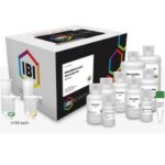 KIT PURIFICACION ADN PLANTA/HONGO 100 PREPS(MINI GENOMIC DNA KIT)