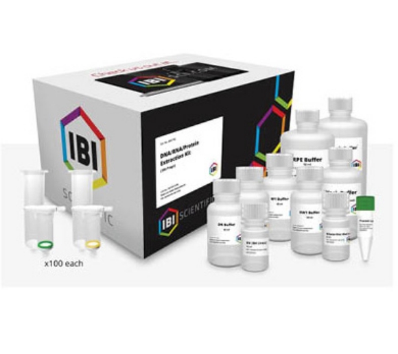 KIT PURIFICACION ADN PLANTA/HONGO 100 PREPS(MINI GENOMIC DNA KIT) - Imagen 1