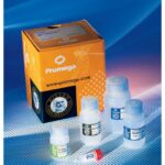 KIT PURIFICACION DE ADN GENOMICO 100 AISLAMIENTOS X 300UL