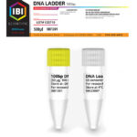 LADDER DNA 100BP 500UL (100BP DNA LADDER)