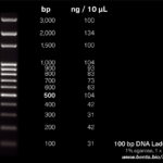 LADDER DNA 100BP( RANGE 100BP -1.5 KB)