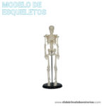 MAQUETA DE ESQUELETO 45 CM