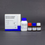 MICROALBUMINA 30 ML (80 DET) (TURBIDIMETRICO)