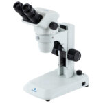 MICROSCOPIO BINOCULAR
