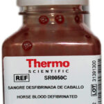SANGRE DESFIBRINADA ESTERIL (DE CORDERO) X 50ML- AREZ