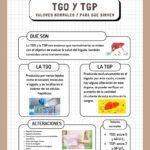 TGO (AST/GOT LIQUID 4X25ML. COD.P7036. REFRI 2-8C)