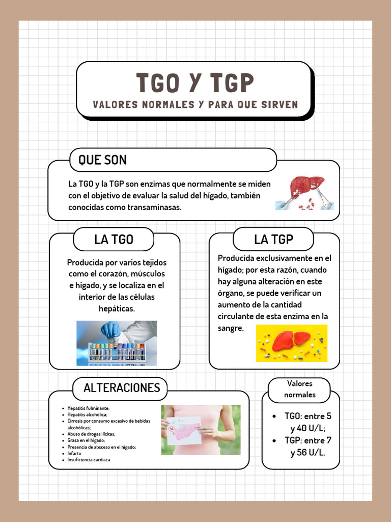 TGO_ASTGOT_LIQUID_4X25ML._COD.P7036._REFRI_2-8C_FAR.jpg TGO (AST/GOT LIQUID 4X25ML. COD.P7036. REFRI 2-8C) - Imagen 1