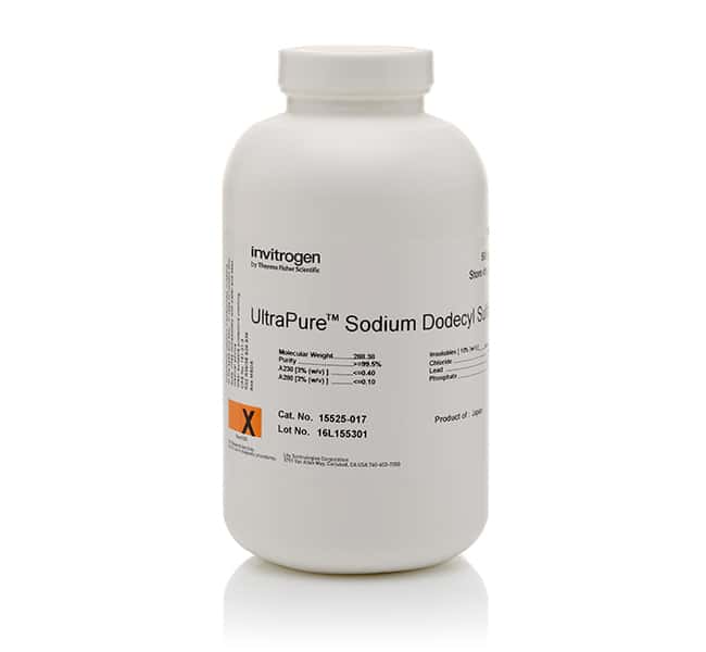 ULTRAPURE SDS POWDER 500G (SODIUM DODECYL SULFATE). REFIB07062. MARCA IBI SCIENTIFIC. GRADO BIOLOGIA MOLECULAR - Imagen 1